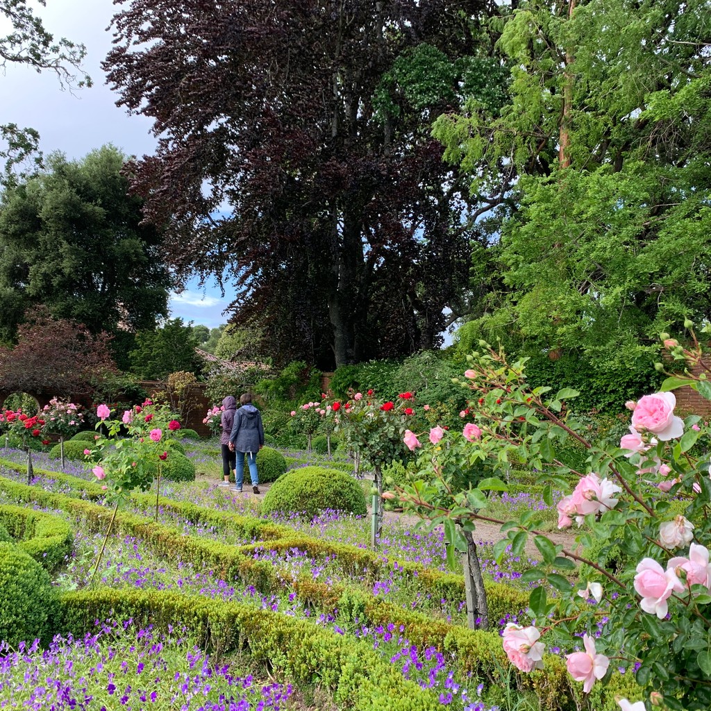 Celebrate all the incredible mothers and mother figures out there this Mother's Day! 💐 Spend the day strolling through the Garden or stop by the Quail Cafe for a delightful Tea for Two. Advanced reservations are required. Reserve your tickets now at filoli.org/visit