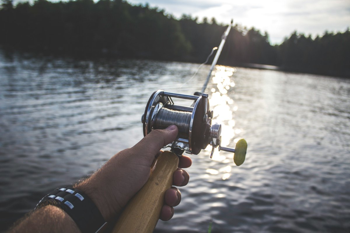 Get hooked on our top-quality fishing supplies! Reel in the best deals today!  Swing on over to buff.ly/3waiA1v and order today.

#fishing #fishinglures #fishinggear #fishingrod #fishingreel #fishingaddict #fishinglife