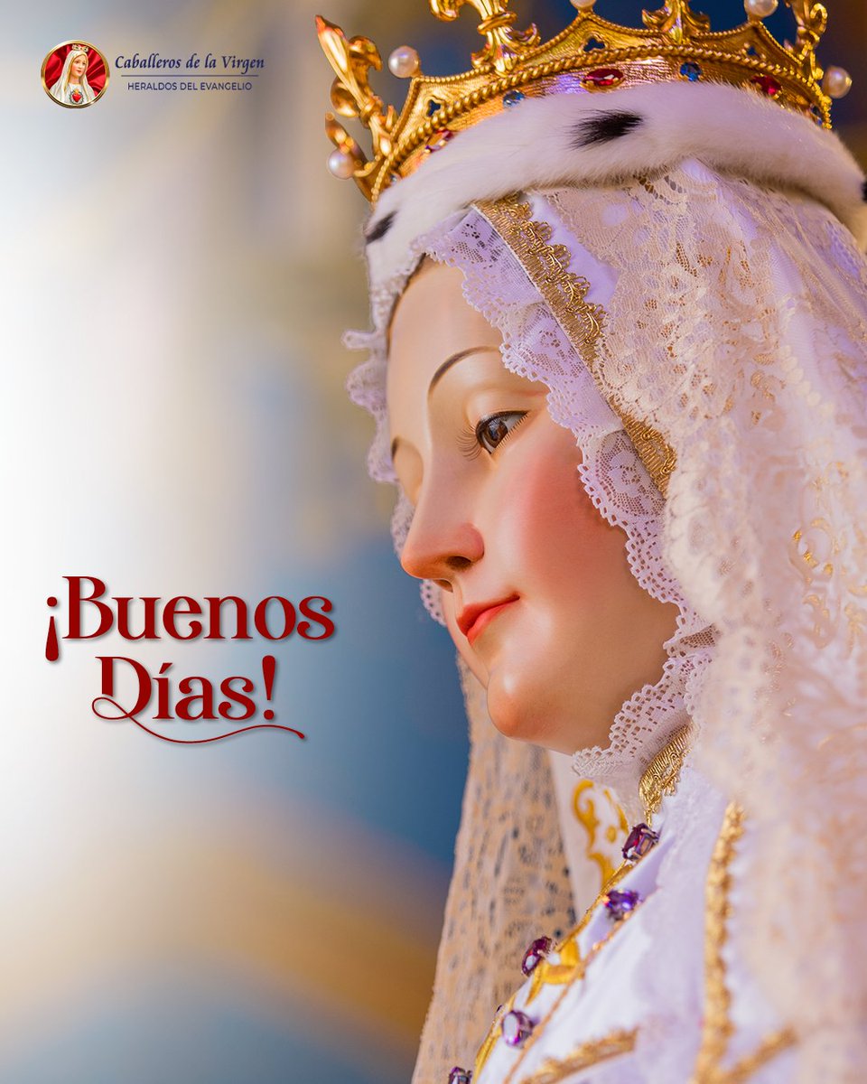 ¡Buenos Días!

Pidamos a Nuestra Señora del Buen Suceso que interceda por nosotros y nos acerque al Cielo junto a Nuestro Señor Jesucristo.⁣

#caballerosdelavirgenecuador #caballerosdelavirgen #heraldosdelevangelioecuador #virgendefatima