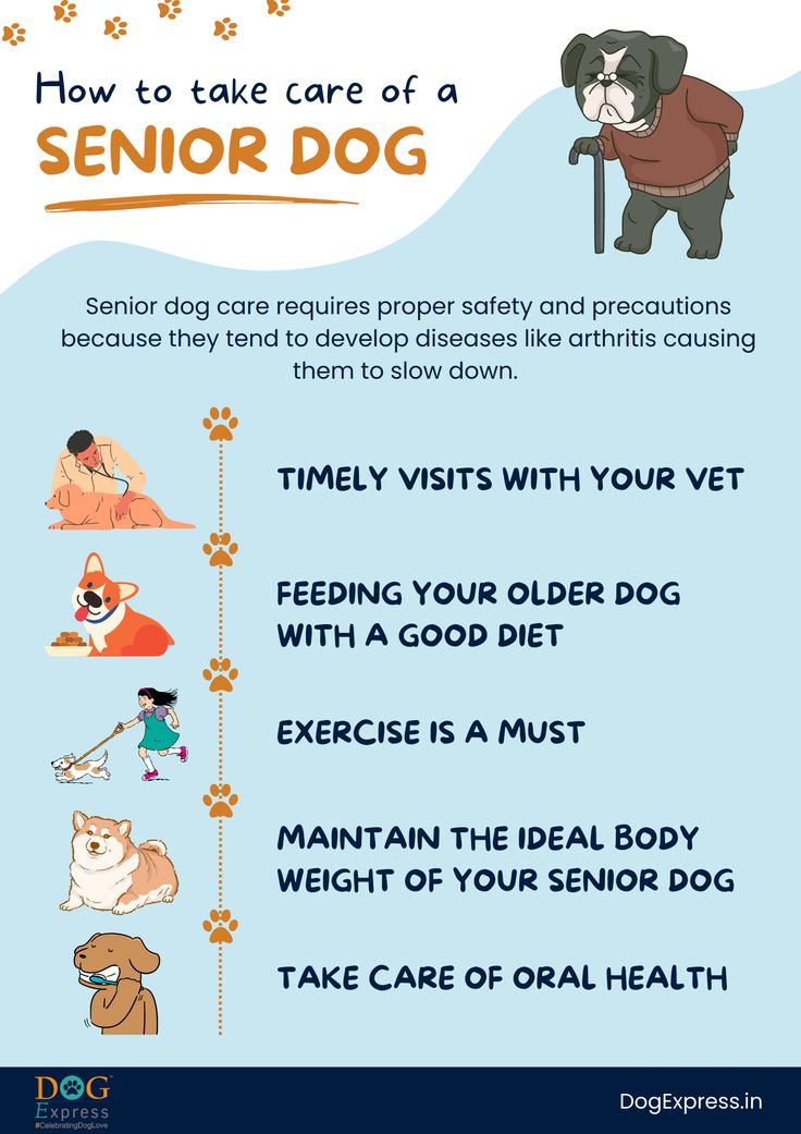 "DIY grooming for happy, healthy pets: #HappyPets #DIYGrooming"