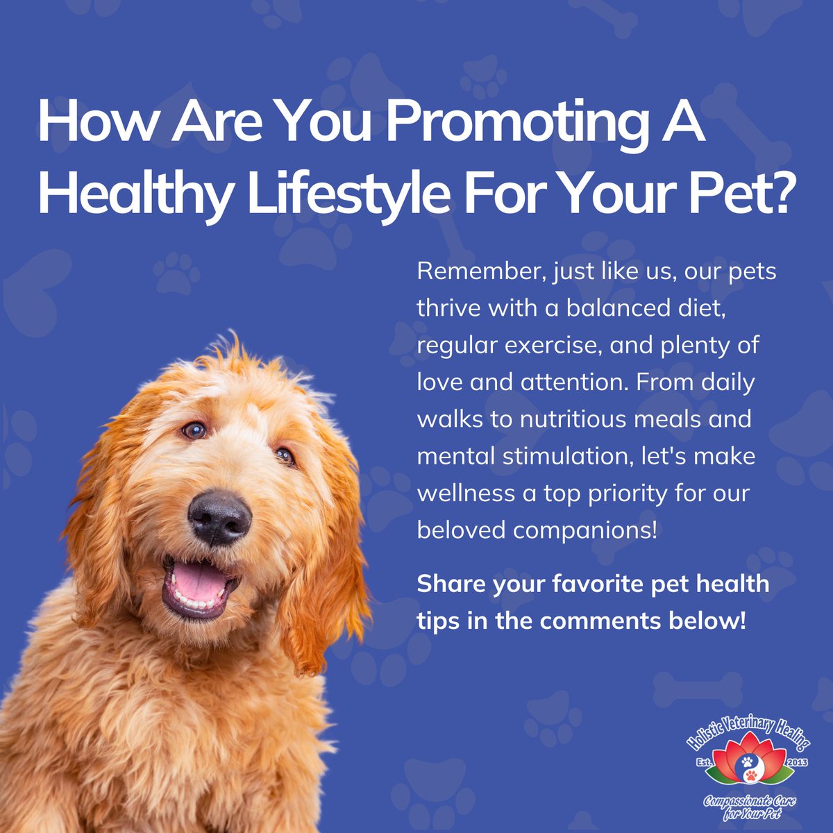 Are you prioritizing your pet's wellness? 🐾💪 Let's talk healthy habits! Share your tips for keeping our furry friends happy and healthy in the comments below!🌟 #PetWellness #HealthyHabits #LoveAndCare