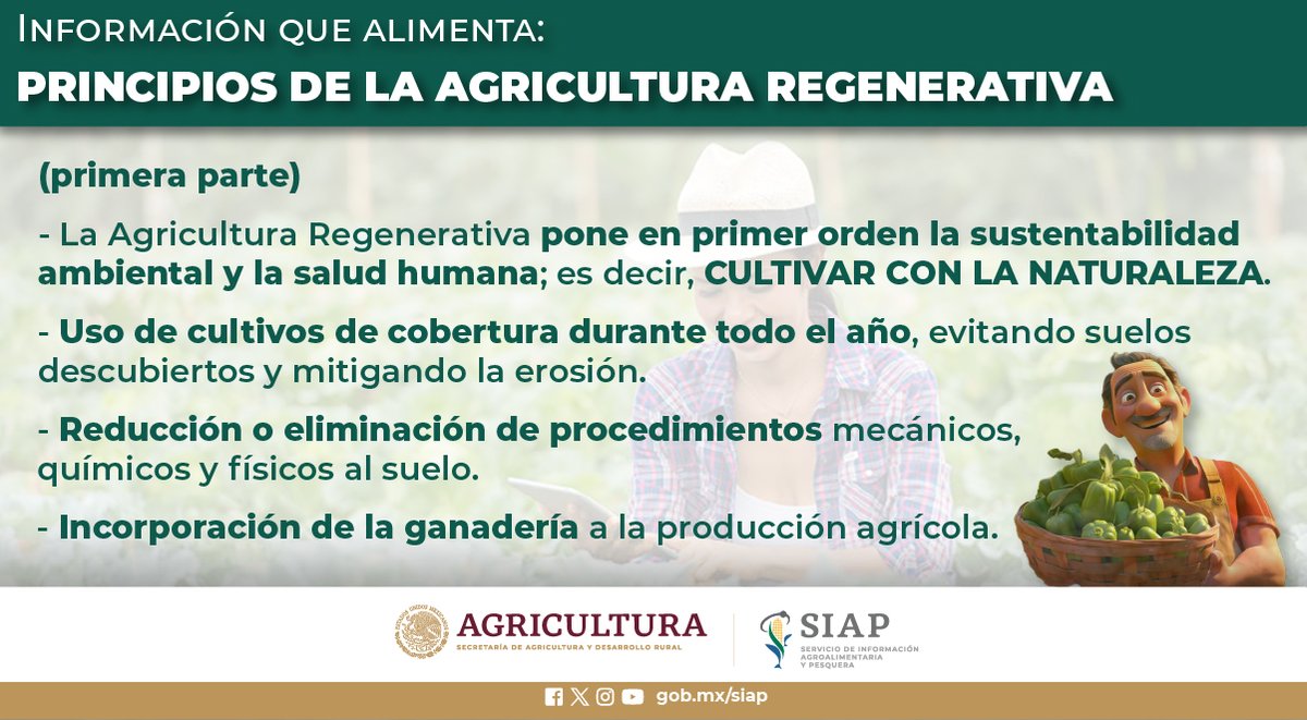 #InformaciónQueAlimenta #AgriculturaRegenerativa #Sustentabilidad #TransformarLosSistemasAlimentarios #AgriculturaMexicana #FelizViernes