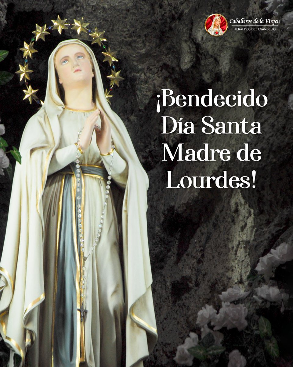 ¡Buenos Días!

Madre Santísima de Lourdes, danos la cura para nuestros males corporales y espirituales.

En esta mañana te pedimos especialmente por🙏.

#caballerosdelavirgenecuador #caballerosdelavirgen #heraldosdelevangelioecuador #virgendefatima