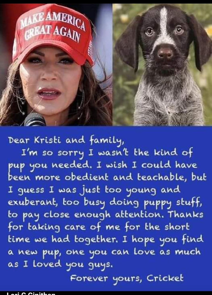 @KristiNoem you are SCUM 
@ShawnHannity1 you are SCUM for trying to justify this EVIL.
#FOXNEWSLIES #KristiNoemIsAMonster #KristiNoemPsychopath #KristiNoemIsEvil #MAGACultMorons 
#RepublicansAreTheProblem 
@MeidasTouch @RonFilipkowski @OccupyDemocrats #Biden2024