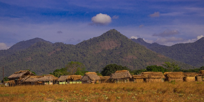 Guyana is one of the strangest countries on earth.  Population is Hindu-Afro-Native, speaking an English Creole.

Almost all population on the coast, living in ancient Dutch polder system.

Ranches and free natives in hinterland, still some English Ranches.