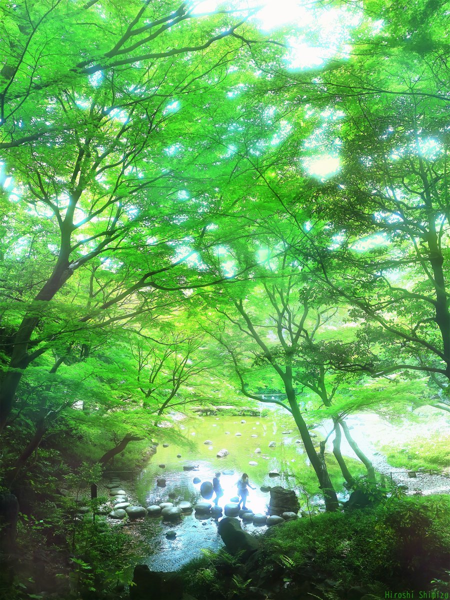 小石川後楽園　(東京都文京区)

新緑がいくえにも重なり
初夏の葉へと変わる木もある
季節の変化が美しい
花の季節だが
こうして木を眺めるのもよく
清々しい気分になった

#Photography