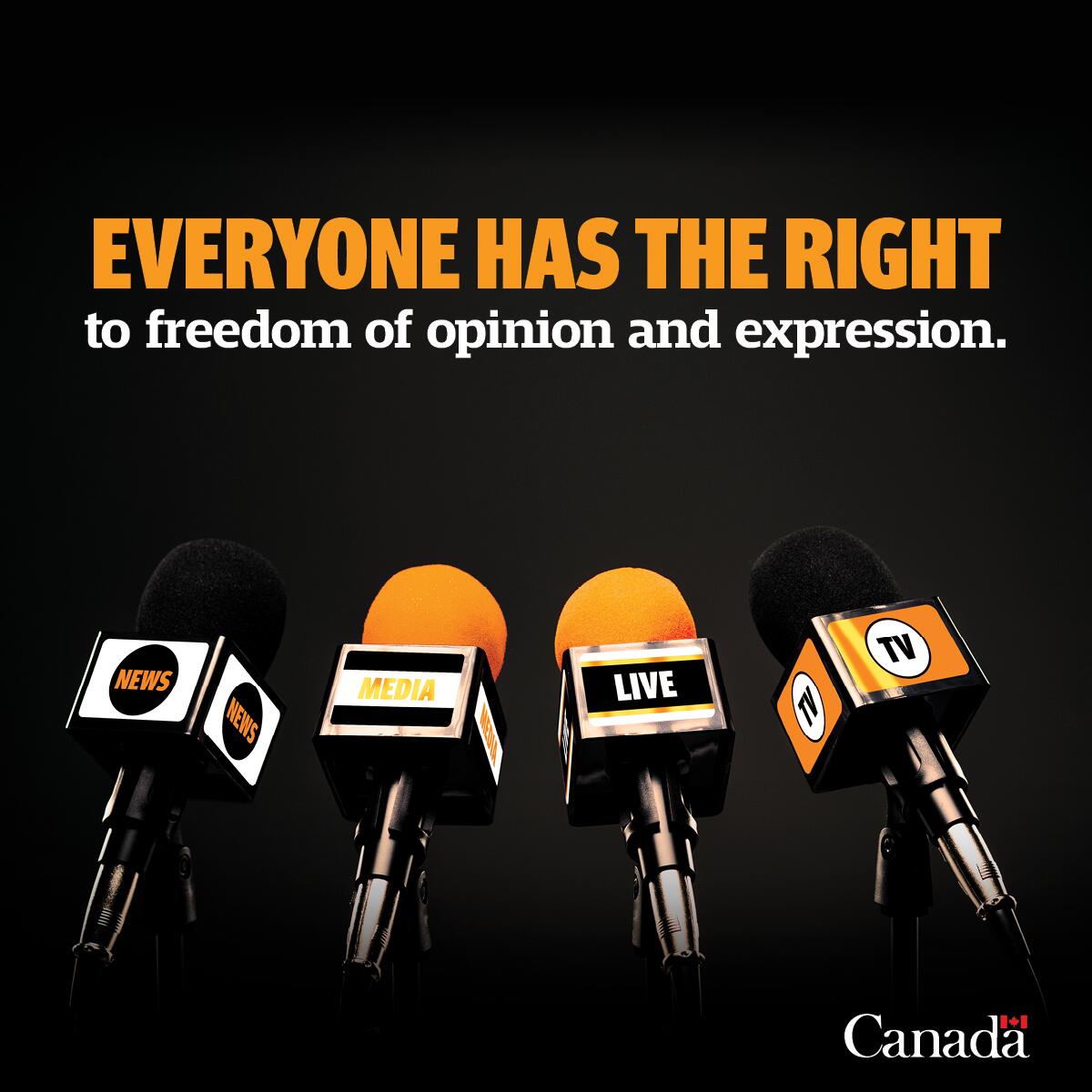 CanHCSriLanka's tweet photo. #WorldPressFreedomDay - Today, we recall the importance of #MediaFreedom for #Democracy &amp; #HumanRights in #SriLanka &amp; #Maldives. In 🇱🇰, Canada is pleased to be working with @Internews to tackle rising hate speech &amp; disinformation that is fueling ethnic &amp; religious extremism. https://t.co/EzE4fX1b3c