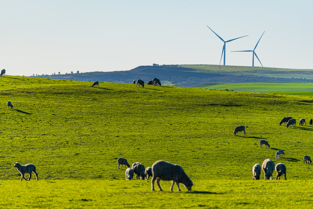 Six 18-month transformational agricultural projects have commenced after grants worth $1M were awarded by the #WADroughtHub

The projects will develop new or additional knowledge, processes or capabilities to improve climate resilience in WA.

Read more ➡️ hub.gga.org.au/media-releases…