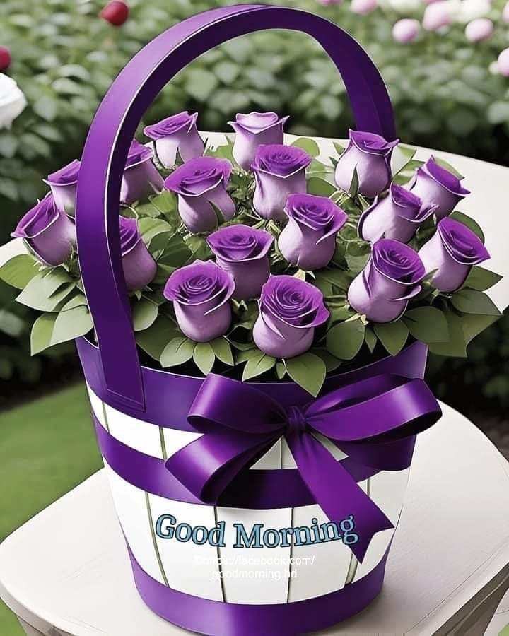 #ইয়া_আল্লাহ, 
দয়া করে আমার পাপের কারণে আমার দোয়া প্রত্যাখ্যান করবেন না।

শুভ সকাল বাংলাদেশ🇧🇩🇧🇩🇧🇩🇧🇩