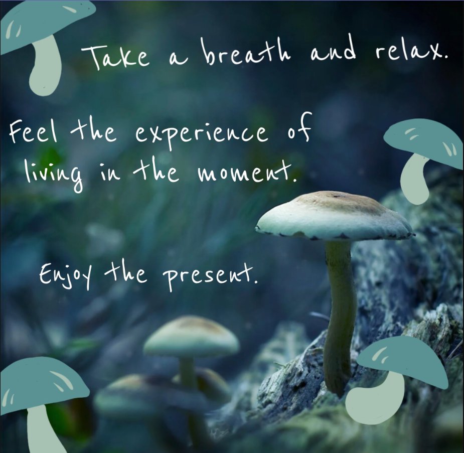 Take a break to slow down. Never forget the power of stopping for a moment to practice mindfulness.
 #SEL #Resilience #Selprograms #learningtools #mylearningtools #SELENA #socialemotionallearning #mindfulness #PresentMoment