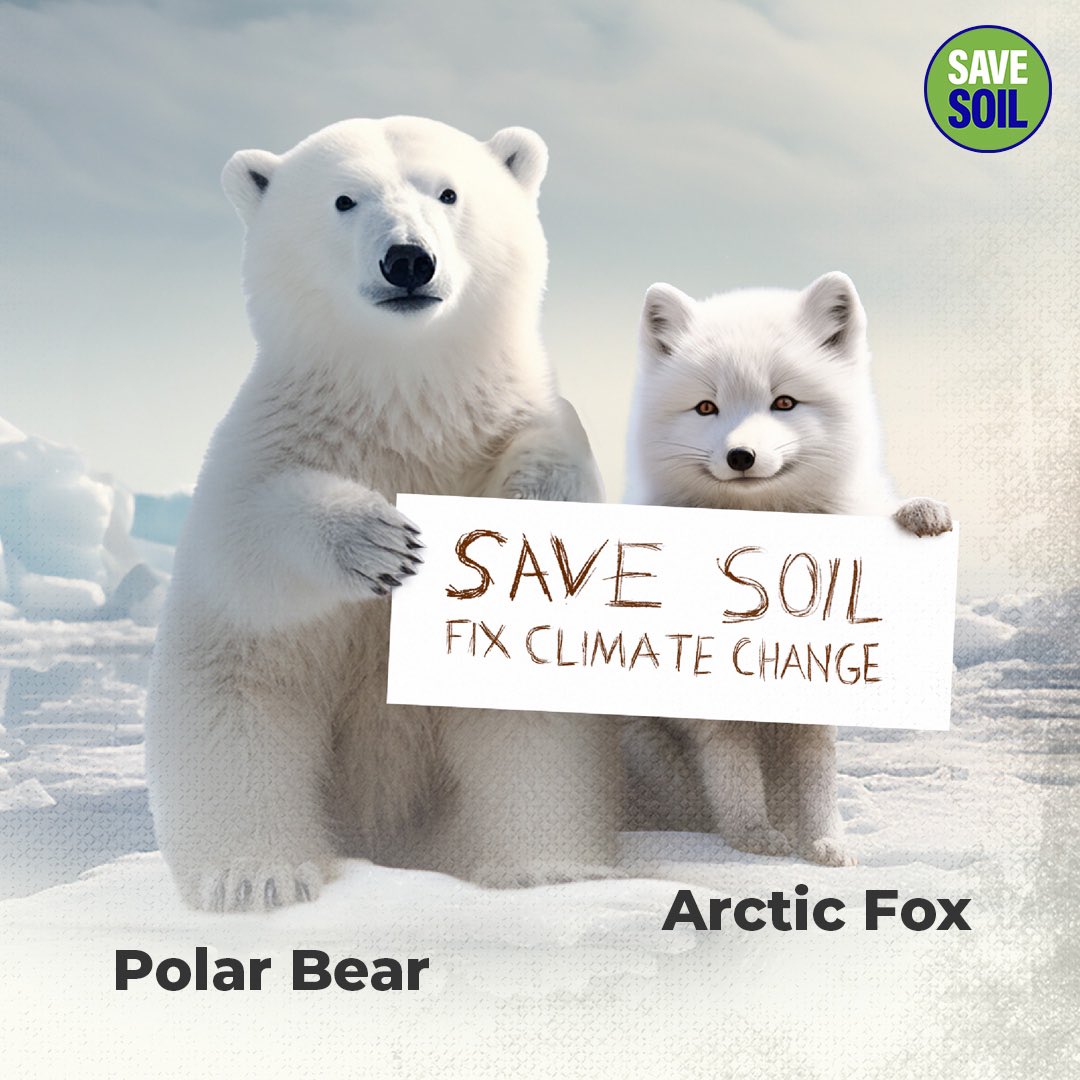 Healthy soil acts as a carbon sink, reducing atmospheric CO2 levels and mitigating global warming, thereby preserving arctic ice and protecting the habitats of poles.
 
Action Now: savesoil.org

#savesoil #consciousplanet #savesoilfixclimatechange #soilforclimateaction