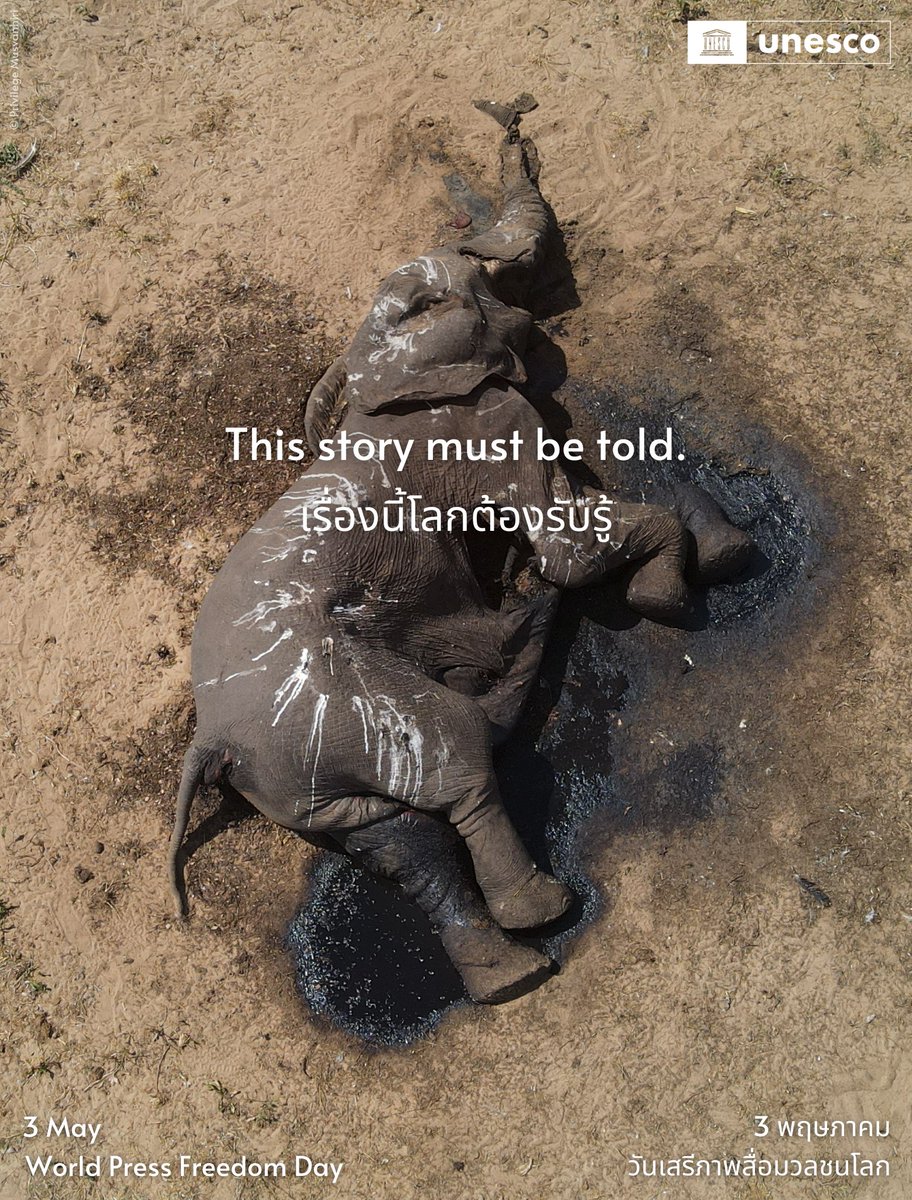 Journalists reveal that the environmental crisis is closer than we realize: elephants perishing from dehydration, their bodies strewn across the landscape. This is the grim reality of #ClimateChange. Stand with us for #PressFreedom: unesco.org/en/days/press-… #WorldPressFreedomDay