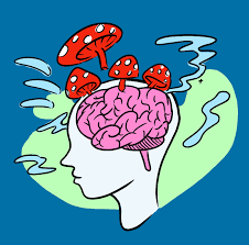 Why did the serotonin molecule go to therapy?
Because it was tired of feeling like it was always on a rollercoaster ride! 🎢😅 #SerotoninStruggles #PsychedelicTherapy