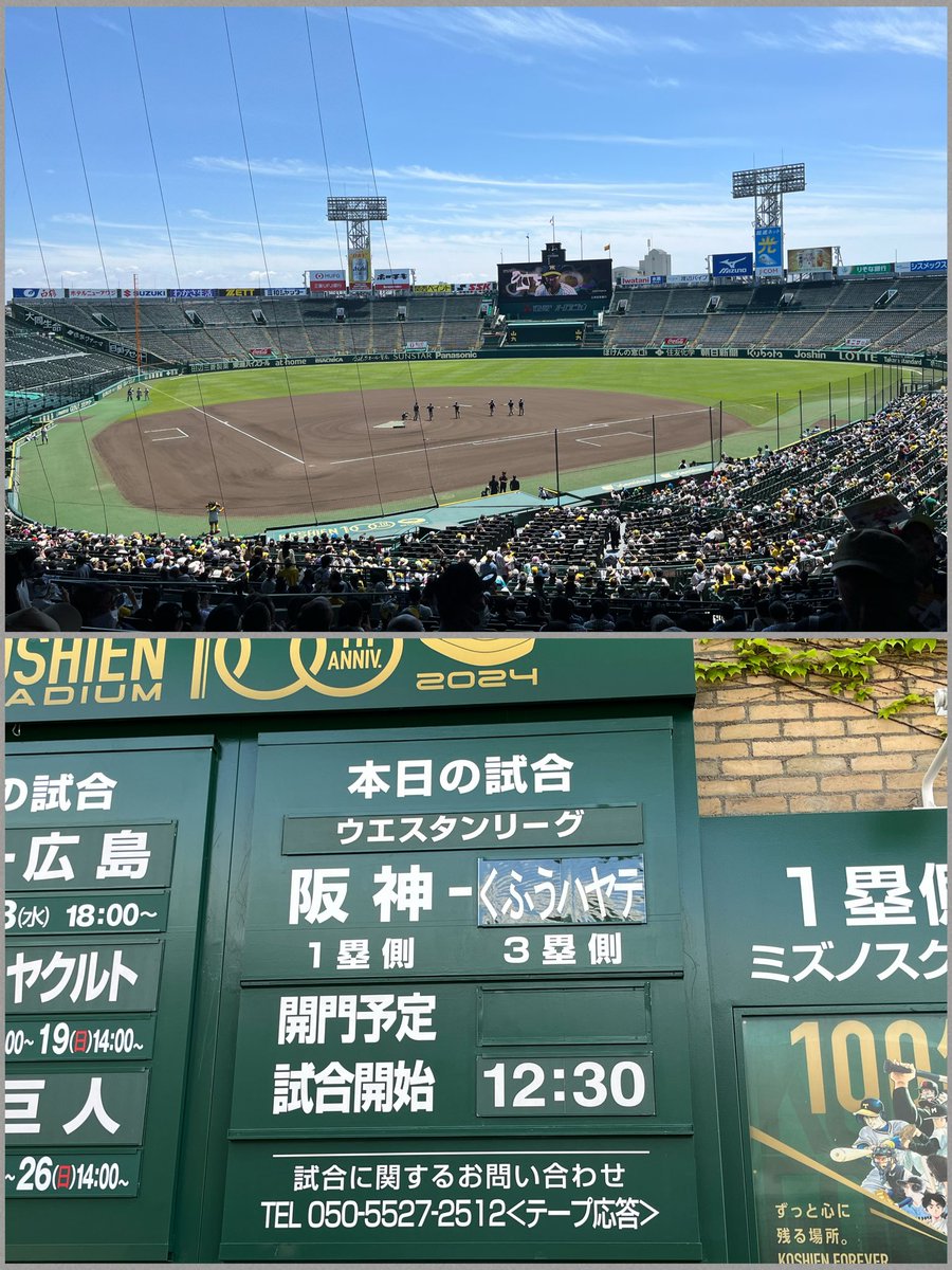 #阪神タイガース🐯

只今の気温22℃。暑さを想定して終日日陰のネット裏上段席を選択、GWなので2軍では異例の1塁内野席も販売している阪神甲子園球場からこんにちは。対戦カード看板の「くふうハヤテ」がボードに直接印字じゃなく別に用意したのを上から貼り付けてる感じになってるのはなんでやろね。