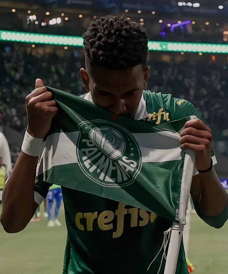 Estevão 💚 Sociedade Esportiva Palmeiras que imagem linda