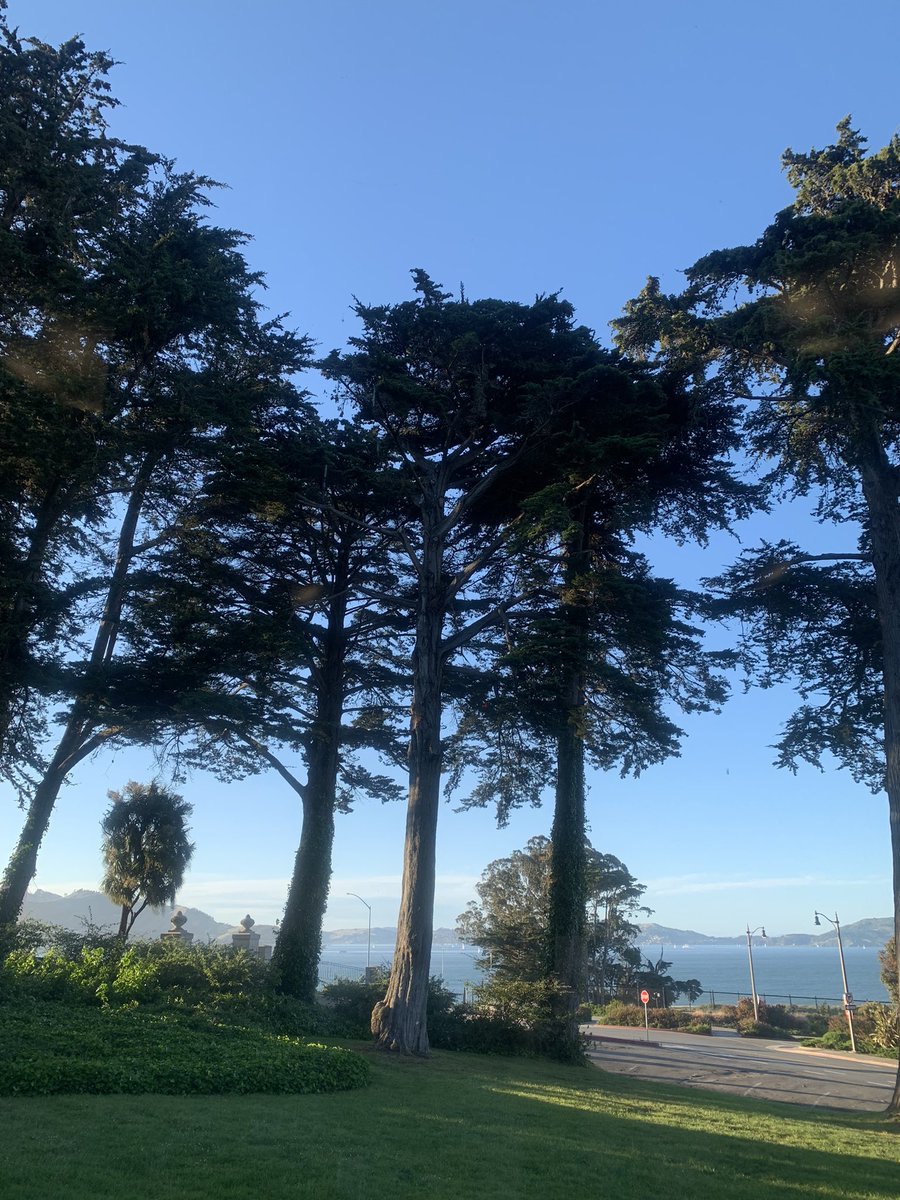 Thrilled to be at the Pacific Forest Trust’s inspiring Forest Fete event in the @presidiosf surrounded by stunning Monterey cypress trees @PacificForest