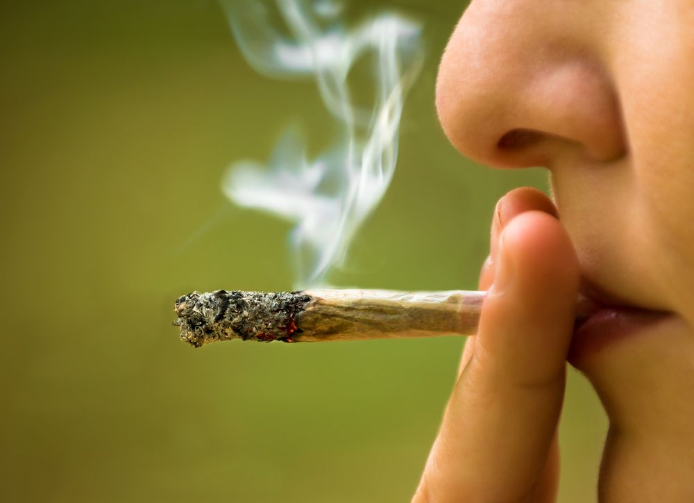 DamienMcnelly's tweet photo. "The body's built-in tolerance to THC keeps us from overdosing. So, while you might feel like you're floating in space after a hefty dose, rest assured, your body's got your back! #CannabisTolerance #DoseResponsibly" https://t.co/rcHJNdN16w