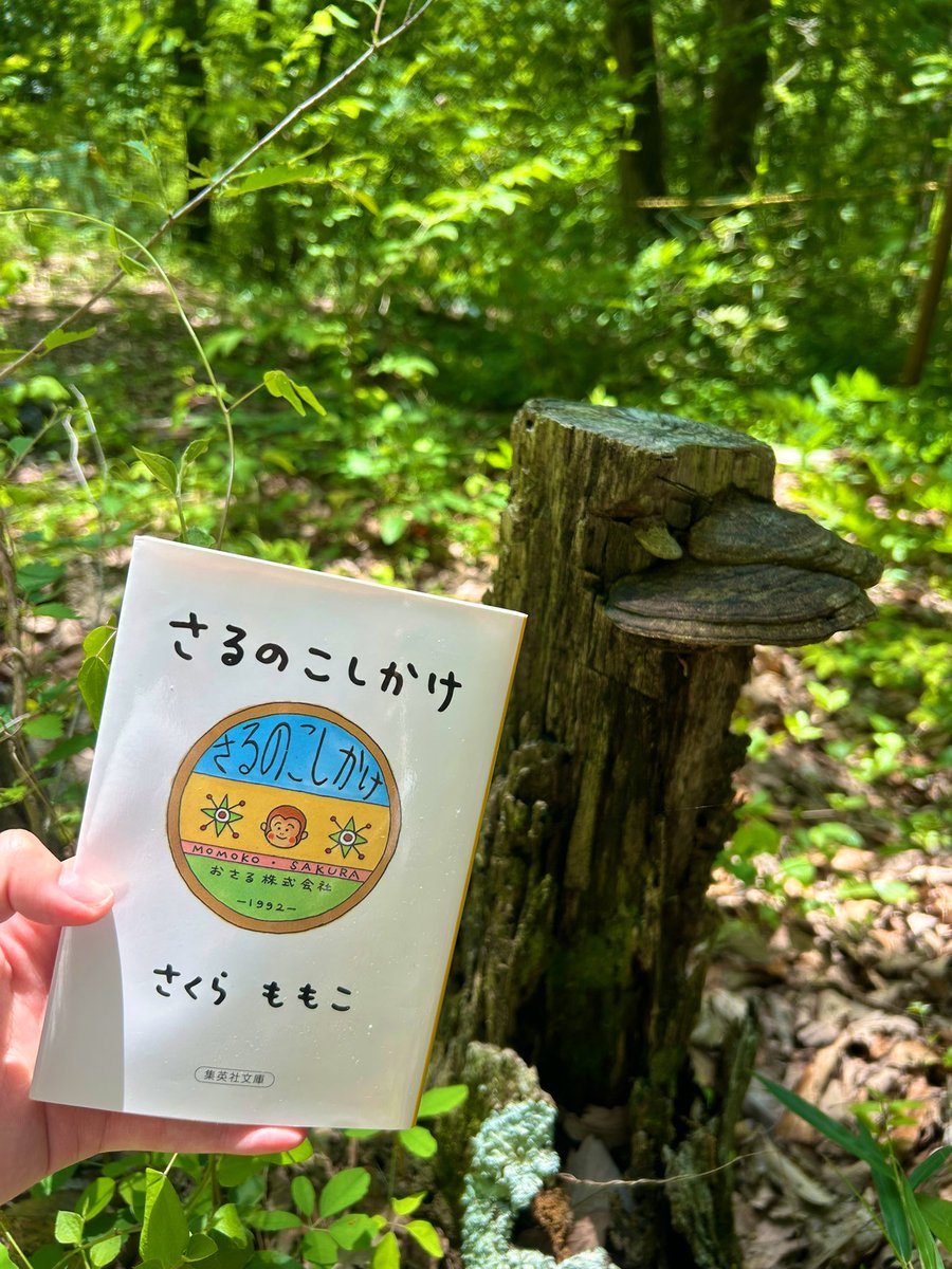 キャンプ読書はじめます📚🏕️