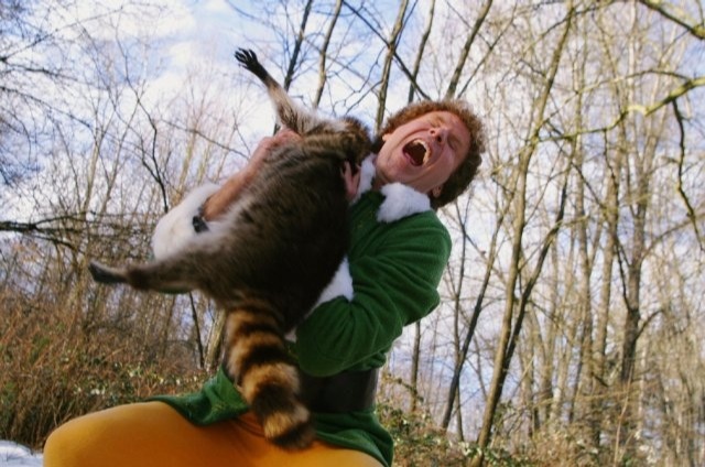 @DarrickPatrick This reminds me of the raccoon attack in 'Elf'.