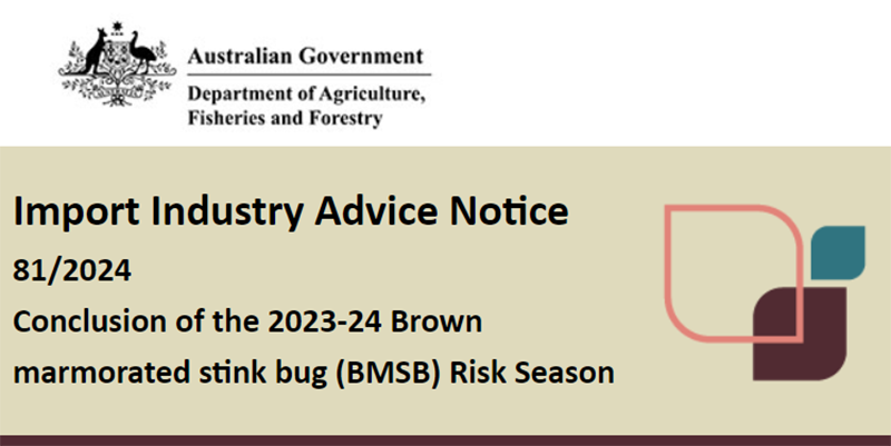 🚨 An Import Industry Advice Notice has been issued by the @DAFFgov confirming the conclusion of the 2023-24 Brown marmorated stink bug (BMSB) risk season on 1 May. Learn more: bit.ly/3xXQF5E #PlantHealth #Biosecurity