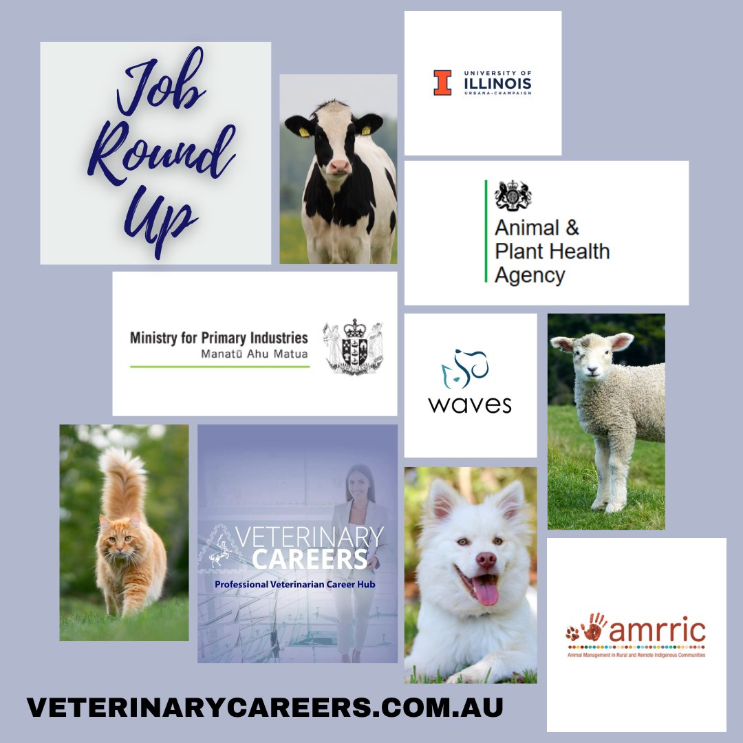 VeterinaryCareers.com.au Job Roundup as at 03/05/2023 A list of 53 Currently Advertised jobs #LoveYourVeterinaryCareer #JobRoundUp #GovernmentJobs #Veterinary #Veterinarian #VeterinaryJobs #WAVES veterinarycareers.com.au/job-roundup-as…