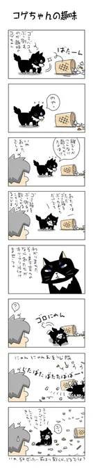 コゲちゃんの趣味♬ #こんなん描いてます #自作まんが #漫画 #猫まんが #4コママンガ #NEKO3