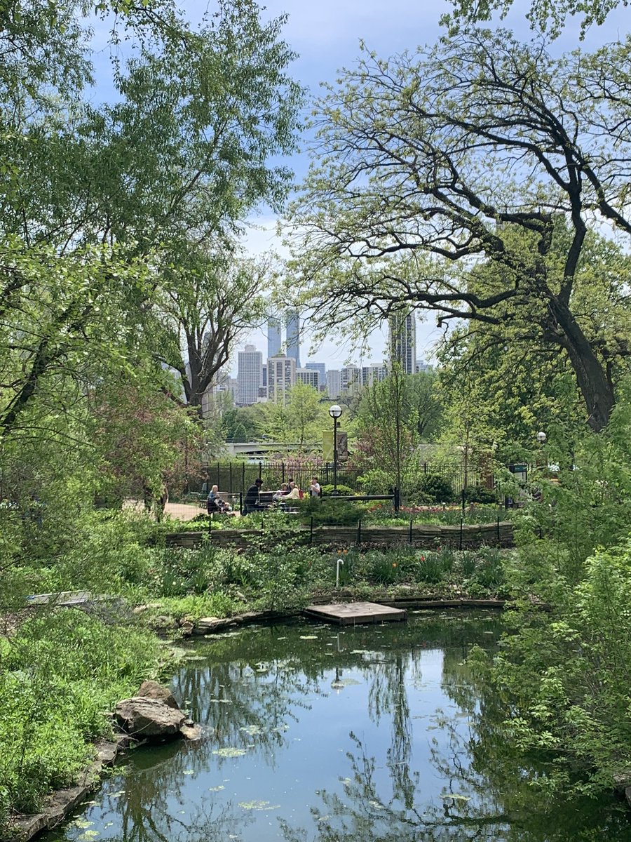 So many thanks to the PTA for allowing us to go take a Zoo Explorers class at Lincoln Park Zoo again! The kids had the best day (and I did too)! Special shout out to our chaperones! 👏 #dg58pride #3sHappy25 #fa58share #dg58third