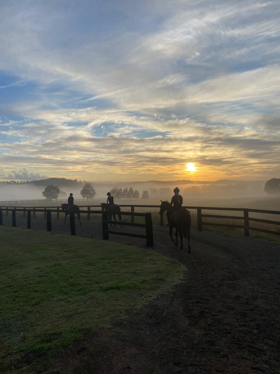 Early mornings @CoolmoreAus don't get much better than this.

#Coolmore #HomeOfChampions