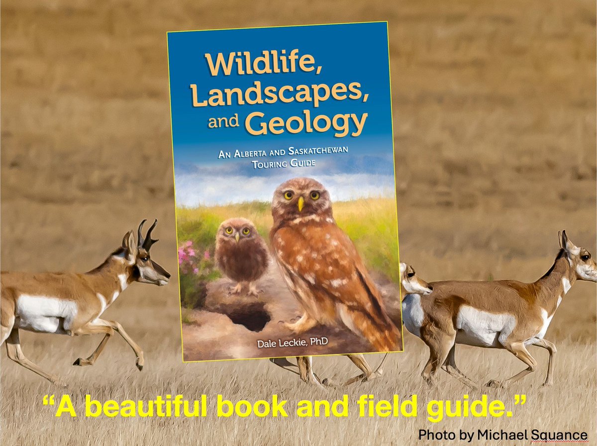 What are people saying about 'Wildlife, Landscapes, and Geology: An Alberta and Saskatchewan Touring Guide'? 'Another superb book. Keep them coming!' brokenpoplars.ca #yeghistory  #yeg #yegdt #exploreedmonton #yegwalkway @eventsinyeg #yyc