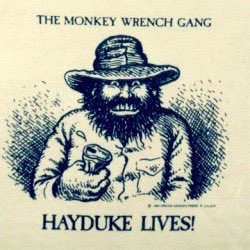 Erin Hardick (@erinhardick) on Twitter photo 