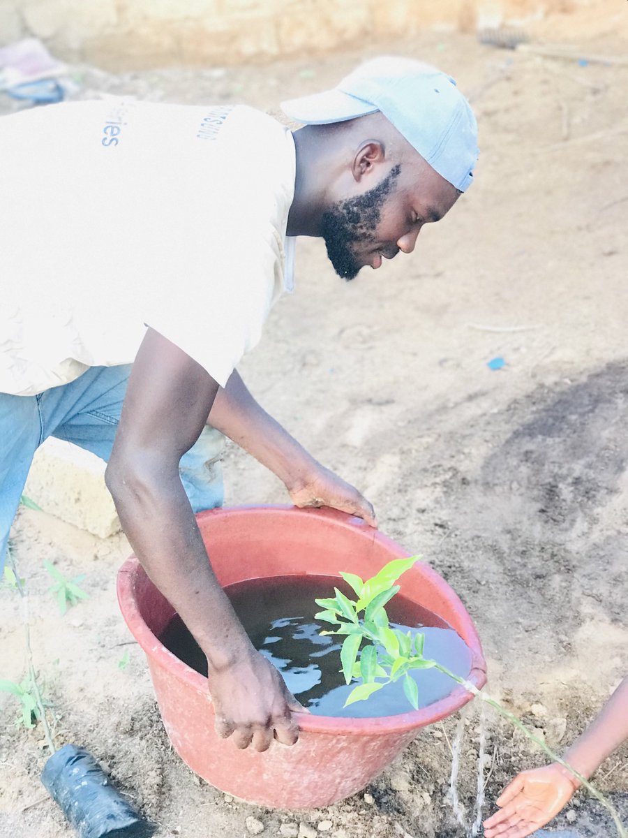 Garfilde Amady Ndongo tweet media