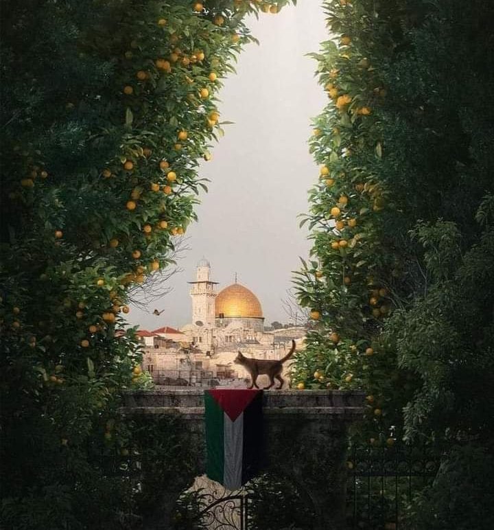 اللهم انصرهم نصراً عزيزاً كريماً يآرب.
#غزه_فخرنا_وعزنا 🇵🇸🖤
#فلسطين_قضيتنا ✌️