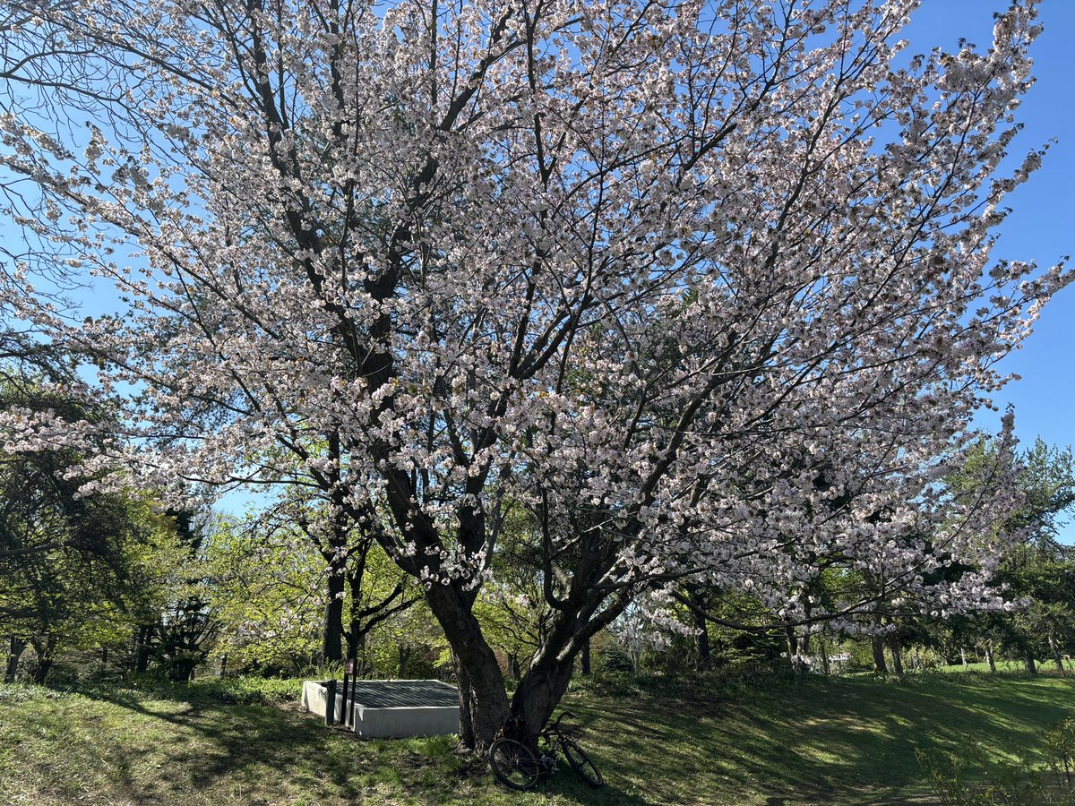 本日開催☺️準備完了致しましたので少し早いですが受付開始しております！ 晴天で絶好の撮影日和です🌞 ご来場お待ちしております☺️(当日参加もOKです) twipla.jp/events/606257