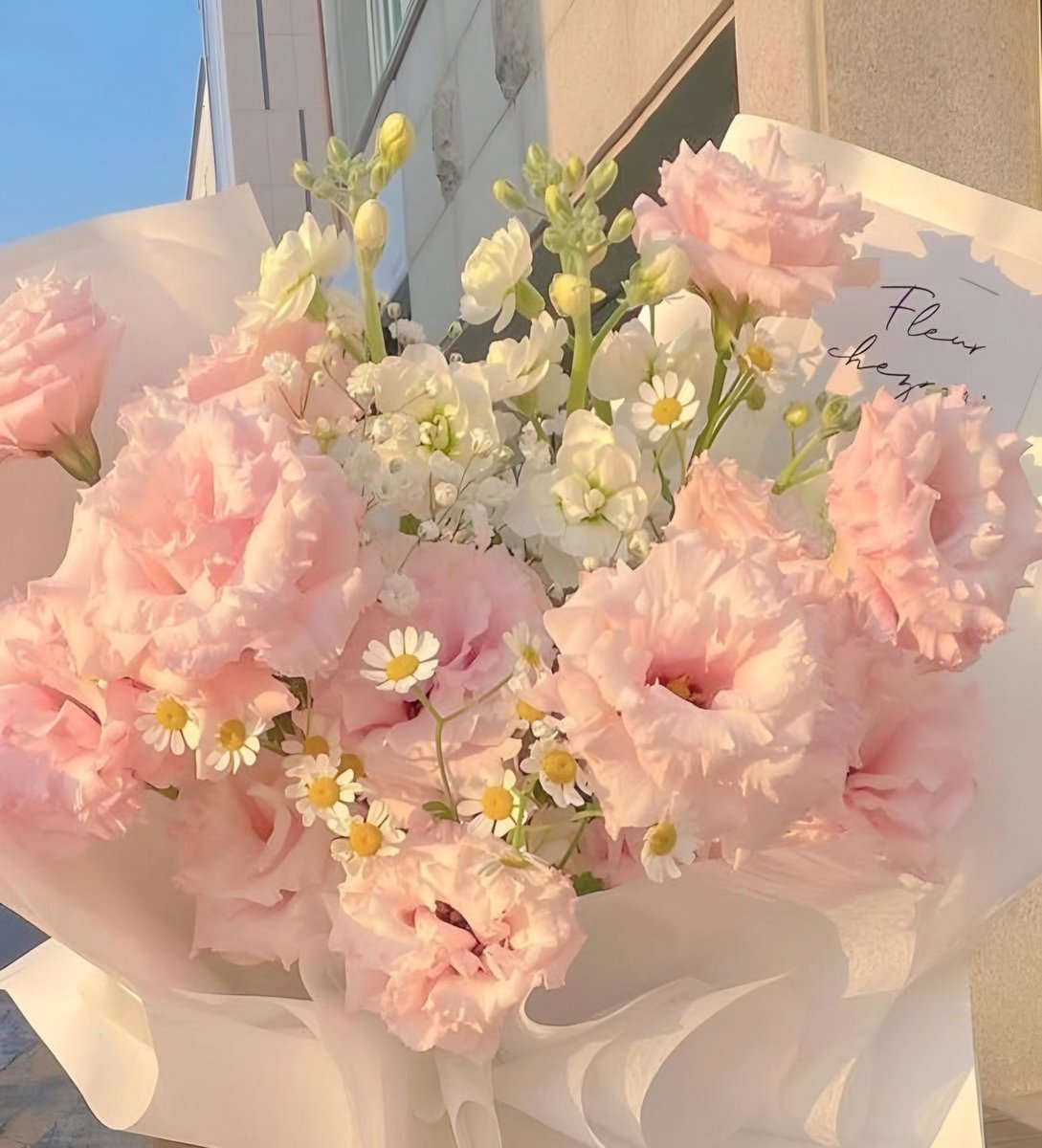 c a z z e l l a。.。:+* tweet media