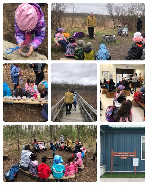 Our @KCBusyBees were forest explorers @OCDSBoec! Thank you Christine & David for teaching & guidance! 🙏❤️
@ocsbindigenous,@scsanders13,@joannenoir  & @karenmitchell18 Thank you for your support, guidance & help! ❤️❤️ #ocsbDL 
Check out our awsome day 👇
canva.com/design/DAGEHgx…