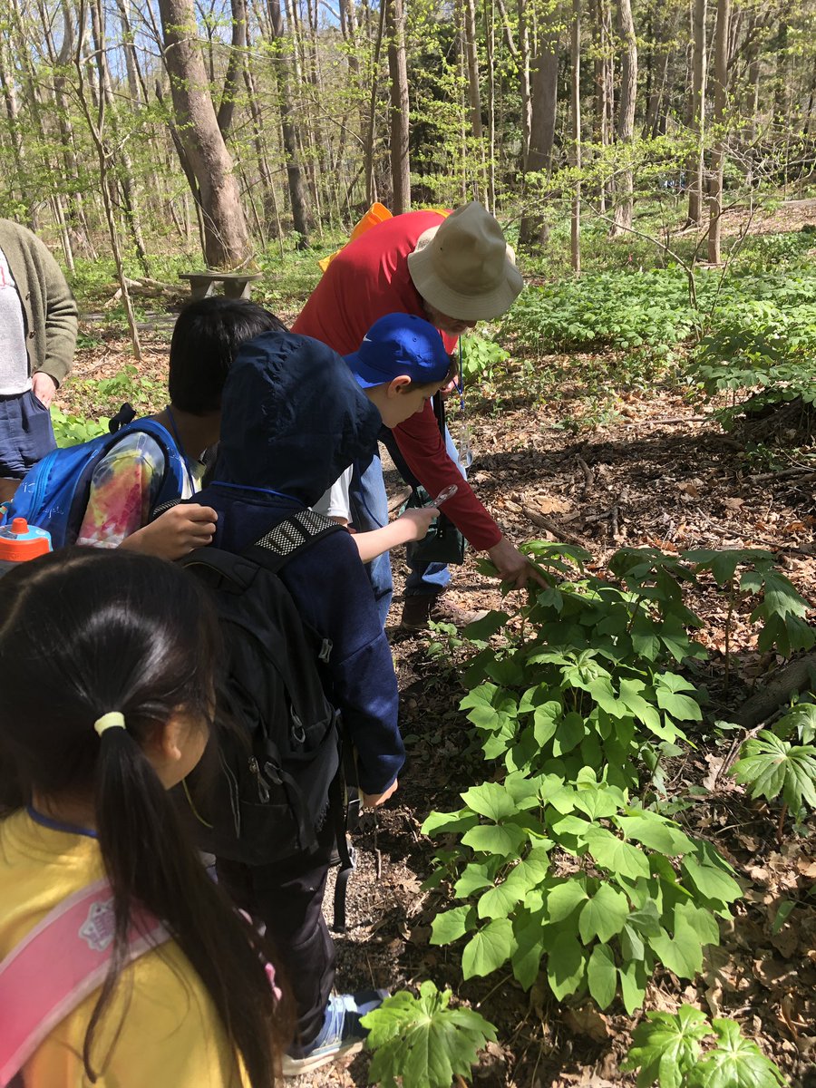 “You got this buddy” was overheard on today’s @KDTIthaca 3rd grade trip to the @Cornell Botanic Gardens. From a Caroline buddy to his @BelleShermanES buddy, before they shared aloud about flowers. @CUintheGarden @IthacaNYSchools @IthacaPEI #Community #Nature #KDTIthaca2024