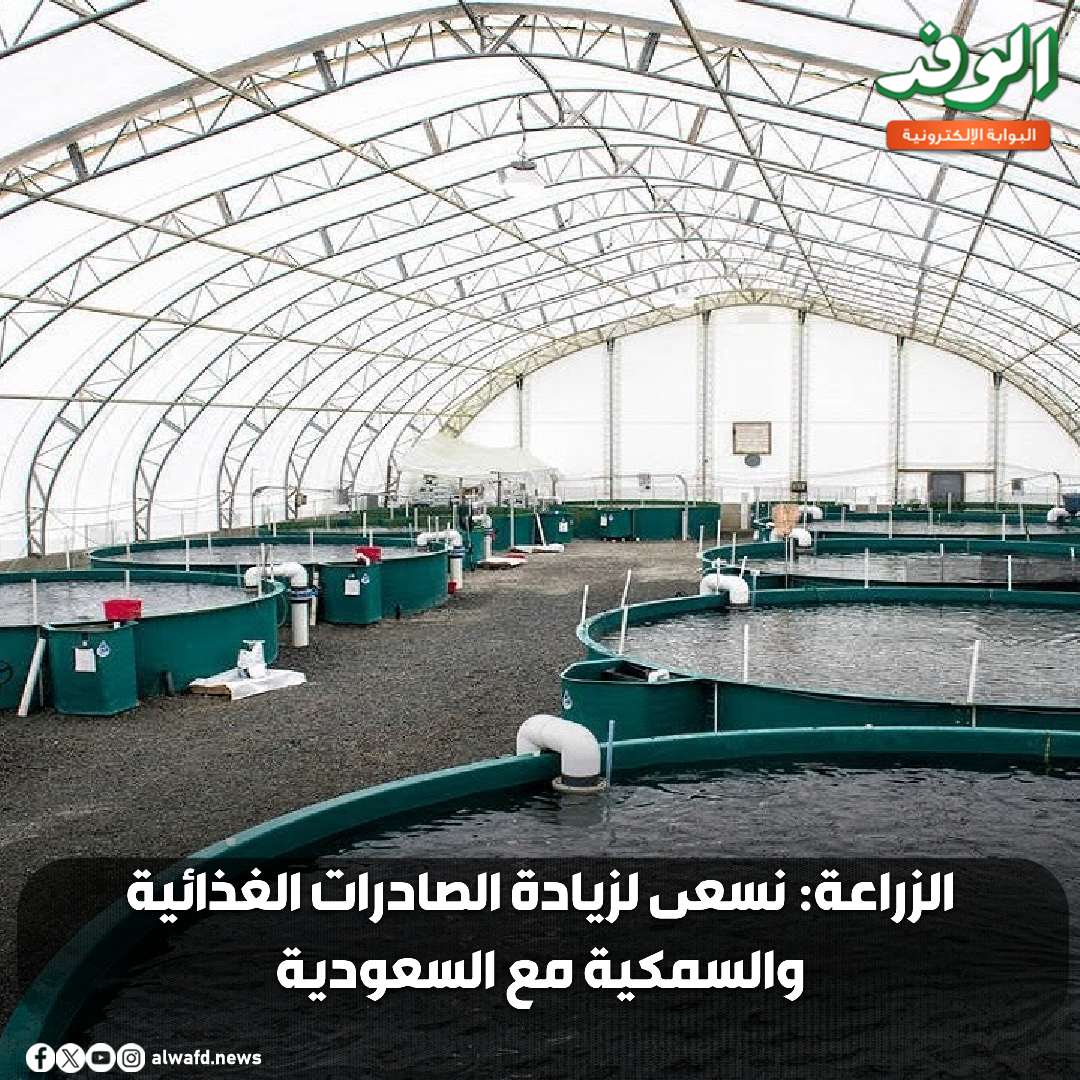 بوابة الوفد| الزراعة: نسعى لزيادة الصادرات الغذائية والسمكية مع السعودية (فيديو) 