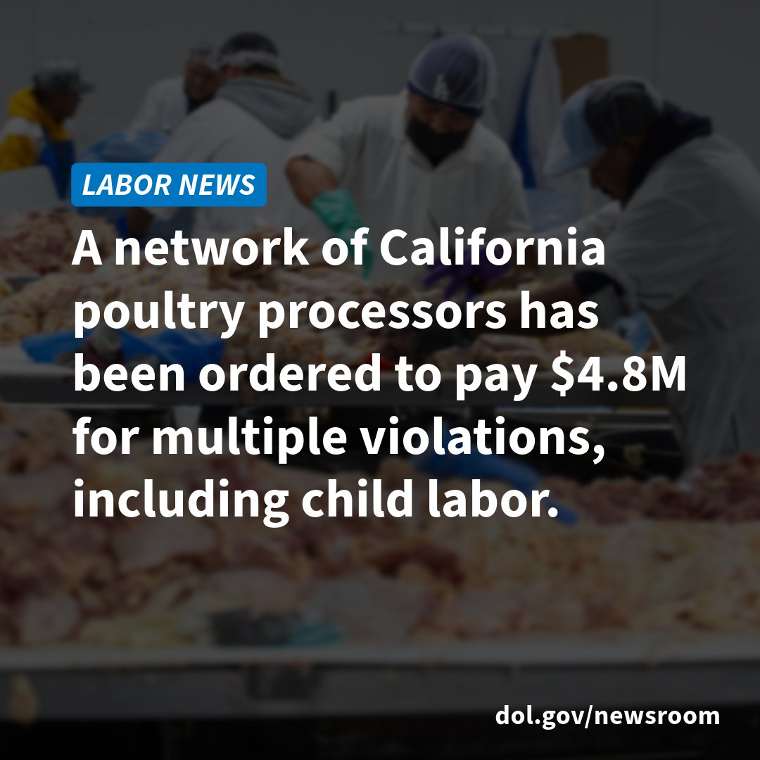 A network of California poultry processors has been ordered to pay $4.8M for FLSA violations, including failure to comply with child labor laws. bit.ly/4aXHAIp @WHD_DOL