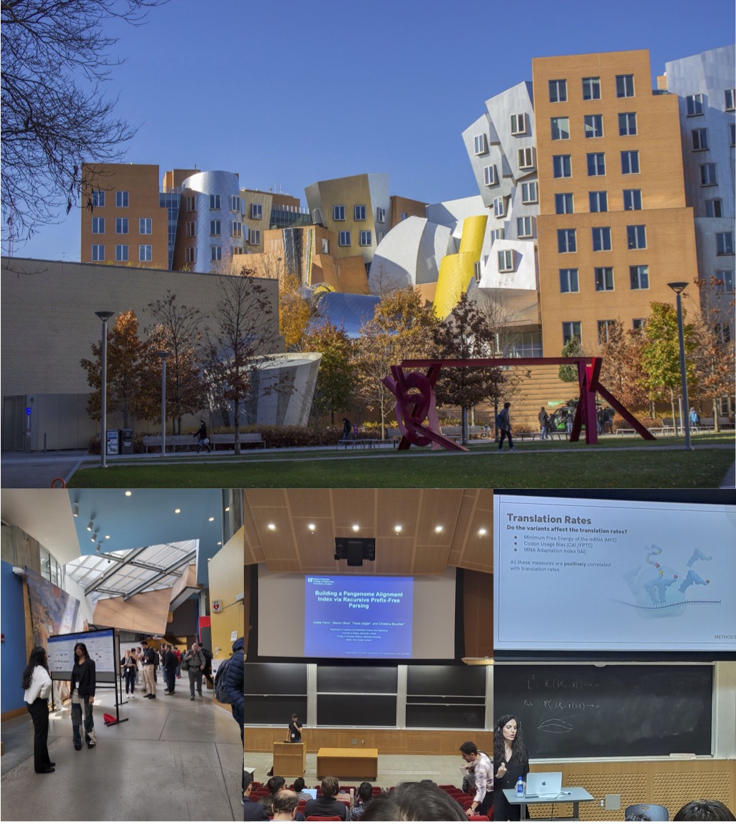 This year, RECOMB was held at MIT, within walking distance from my place, so I simply HAD to attend. I went to the satellite workshops this weekend. It was great to see new results in computational biology and potential future methods. Today's science can be tomorrow's