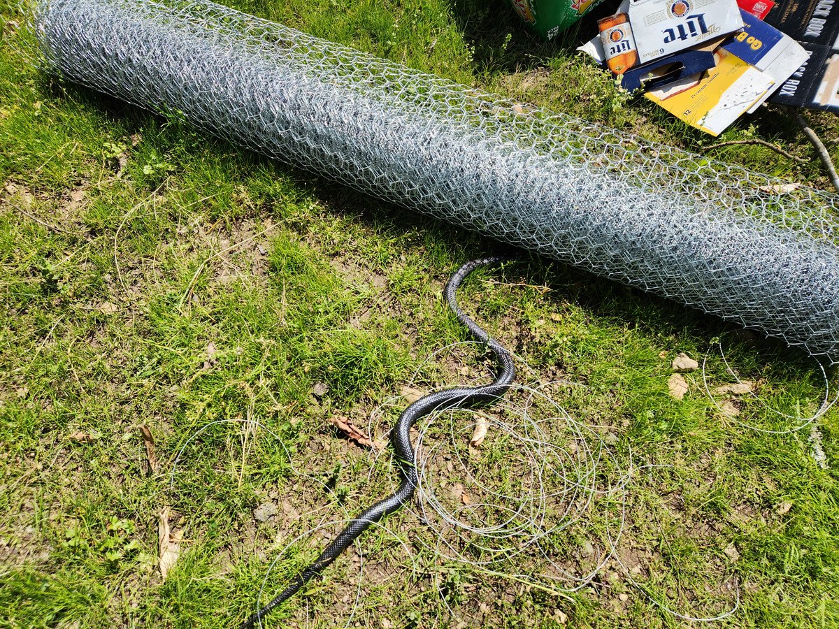 No step on snek
Luckily this is one of the good ones. The end of this month starts Copperhead and rattler season. That's when the fun really begins....