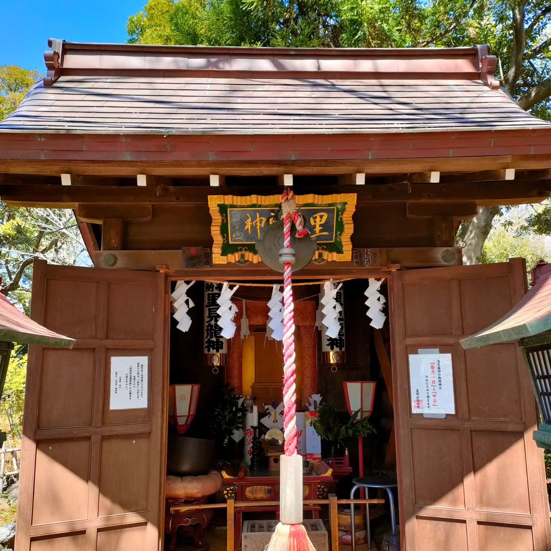 沙弥山崎寺の連日参拝

1年ぶりの参拝。

400年越しの紅葉を見に行く

また少し小さくなったけど、今年も咲かせてみました。

境内の里見神社参拝

湾岸の木々がとてもきれいでした。

※里見神社の参拝日は毎月1日と団子の日のみ