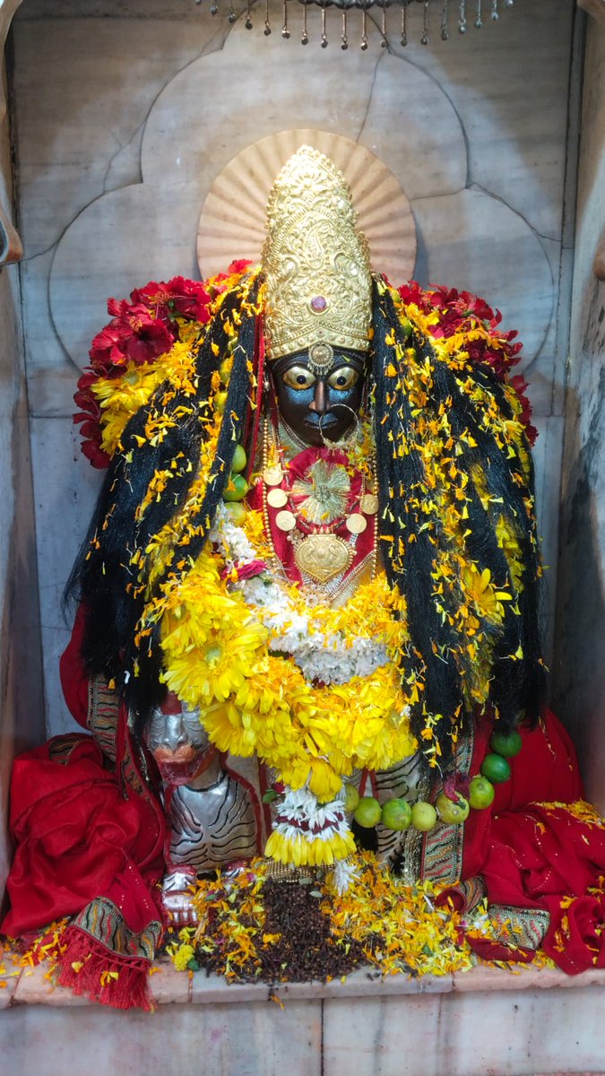 Eternaldharma_'s tweet photo. मां पीतांबरा महारानी के दिव्य दर्शन🙏 https://t.co/emvnQsZZ8Z
