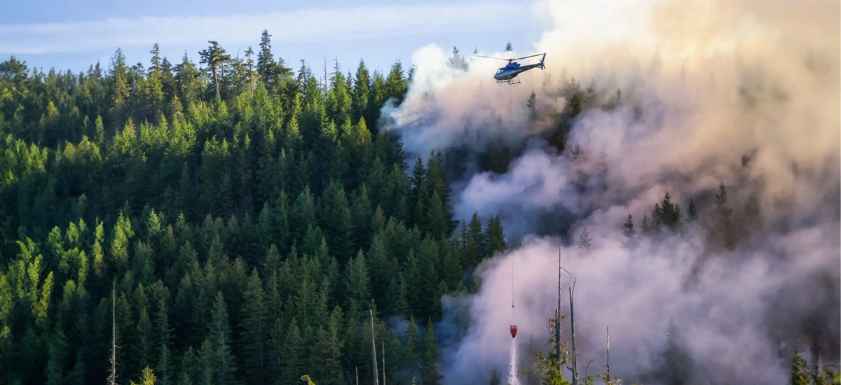 Last year’s wildfire season marked BC’s most destructive on record. #UBCO Faculty of Science researcher Dr. Mathieu Bourbonnais and #UBCV researcher Dr. Lori Daniels share how communities can prepare for wildfire season.

Read more: beyond.ubc.ca/the-wildfire-s…