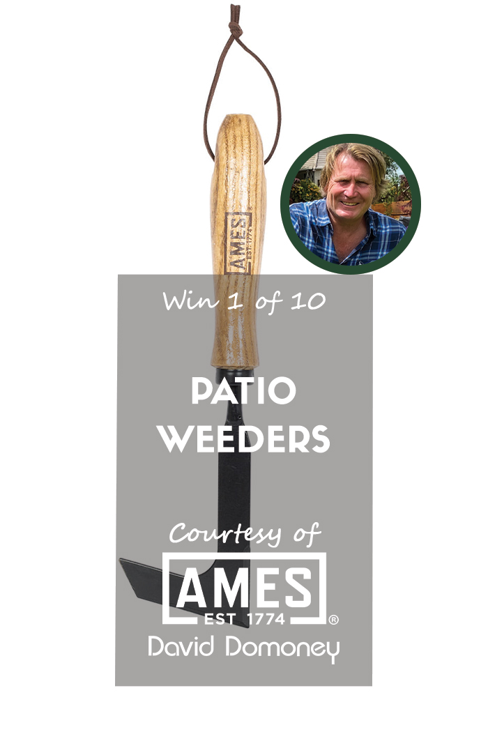#ad

Enter my free prize draw for the chance to win 1 of 10 #AMES Patio Weeders.

👉 bit.ly/3xVAVQB

Closes 31/05/24 at 11:59 PM
UK Residents Only - Excludes NI
T&C's Apply

#PaidPartnership #WinItWednesday #FreebieFriday