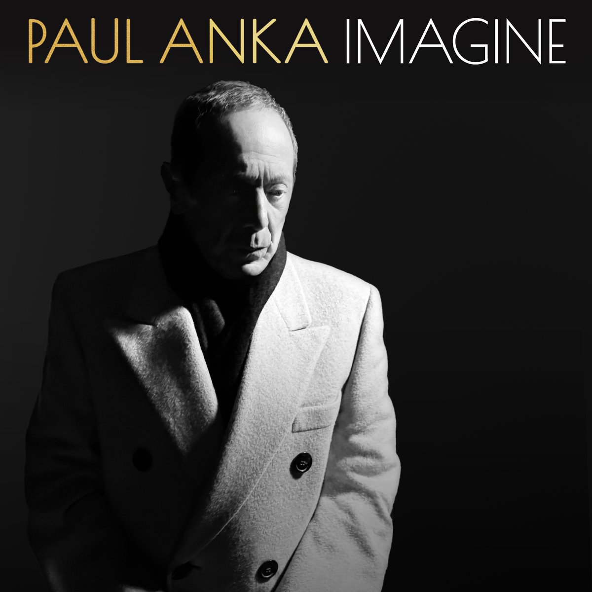 Let's embark on a journey of imagination with my new single 'Imagine'. May it inspire and motivate you, setting the perfect tone for your day! Listen now (lnk.to/PAImagine)