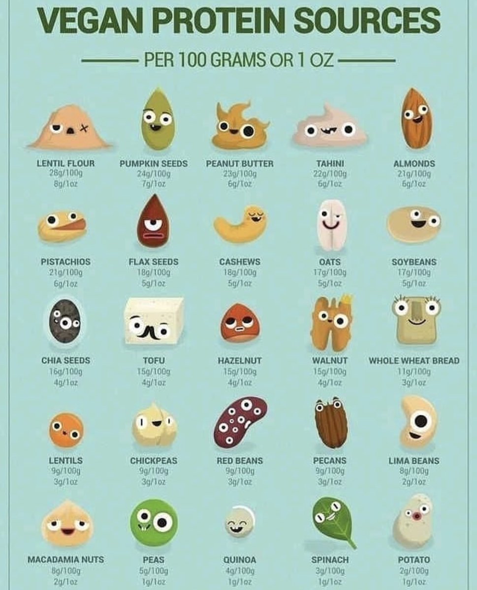 Vegan protein sources