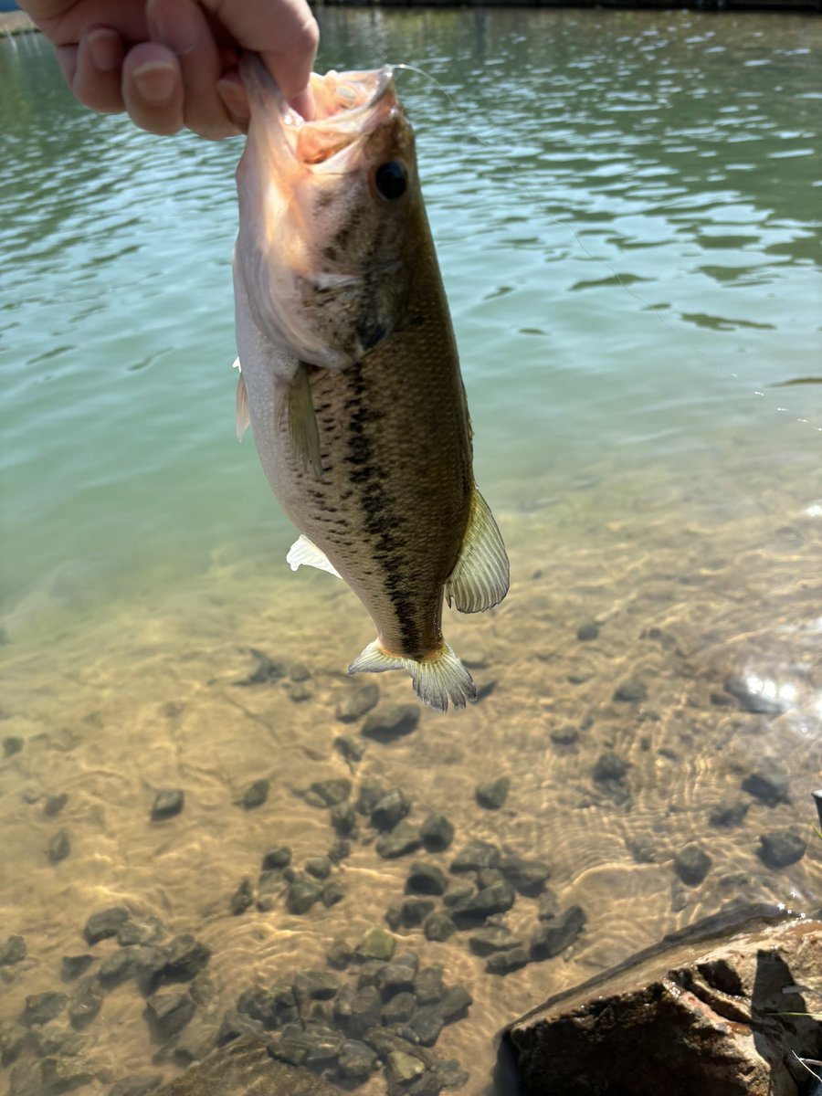 管釣り