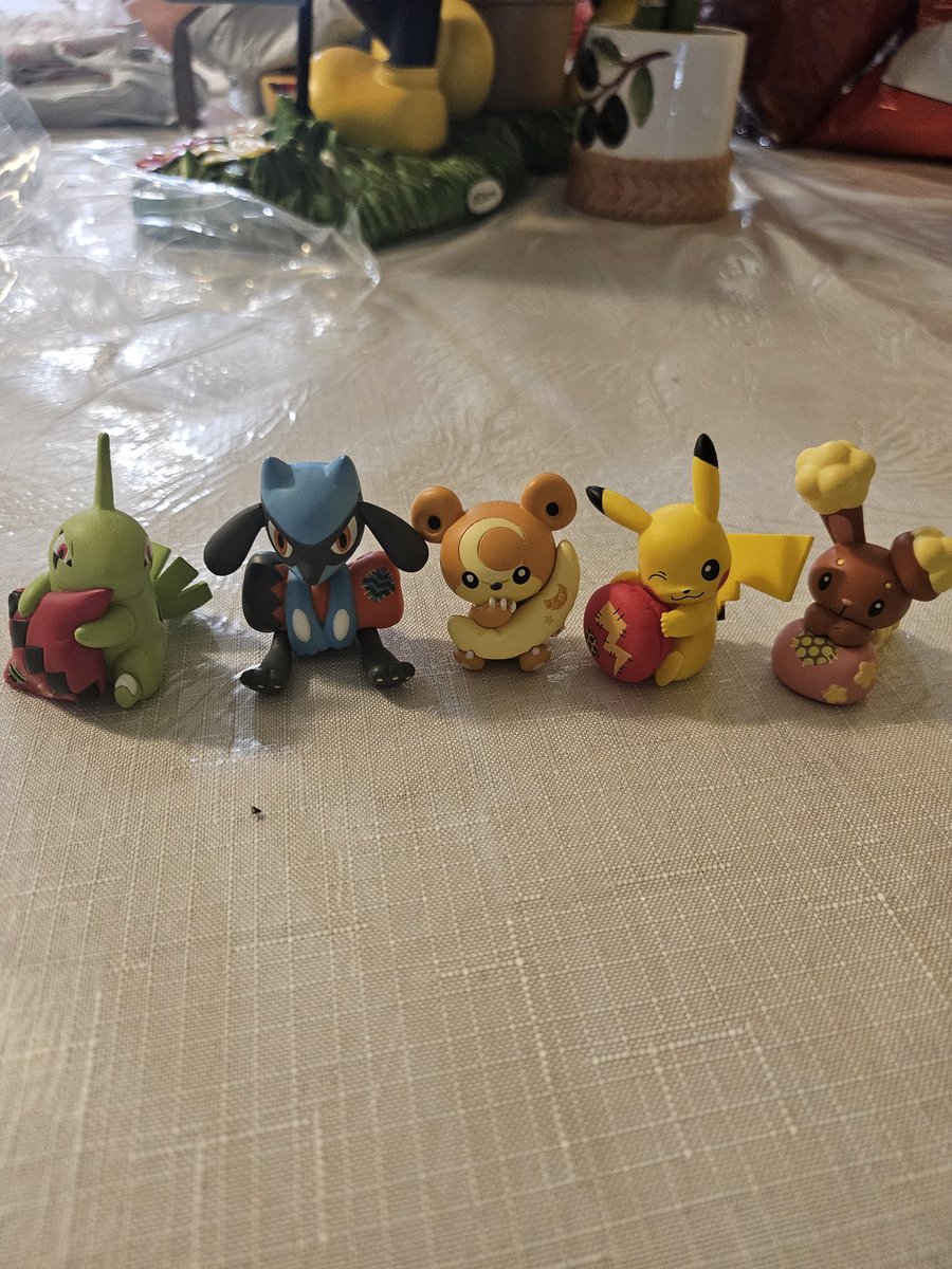 Wooohoo our new pokemon figures came in for our miniature houses in the future !