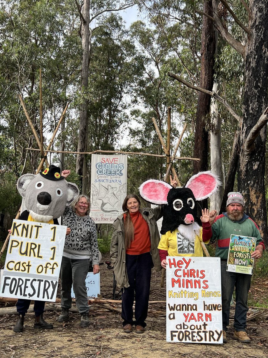 Nannas visit the Clouds Creek Glider Revivor vigil in the NSW Northern Tablelands. Local community group Blicks River Guardians have kept Forestry at bay, and Koalas and Greater Gliders safe, 5 days a week since January. Visit Blicks River Guardians on FB 4 what you can do to.