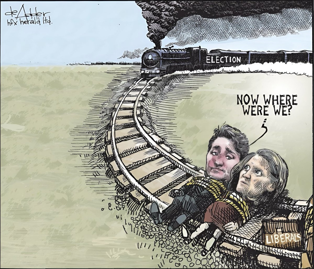 There are polls; and then there’s Michael de Adder. Political cartoonist extraordinaire.